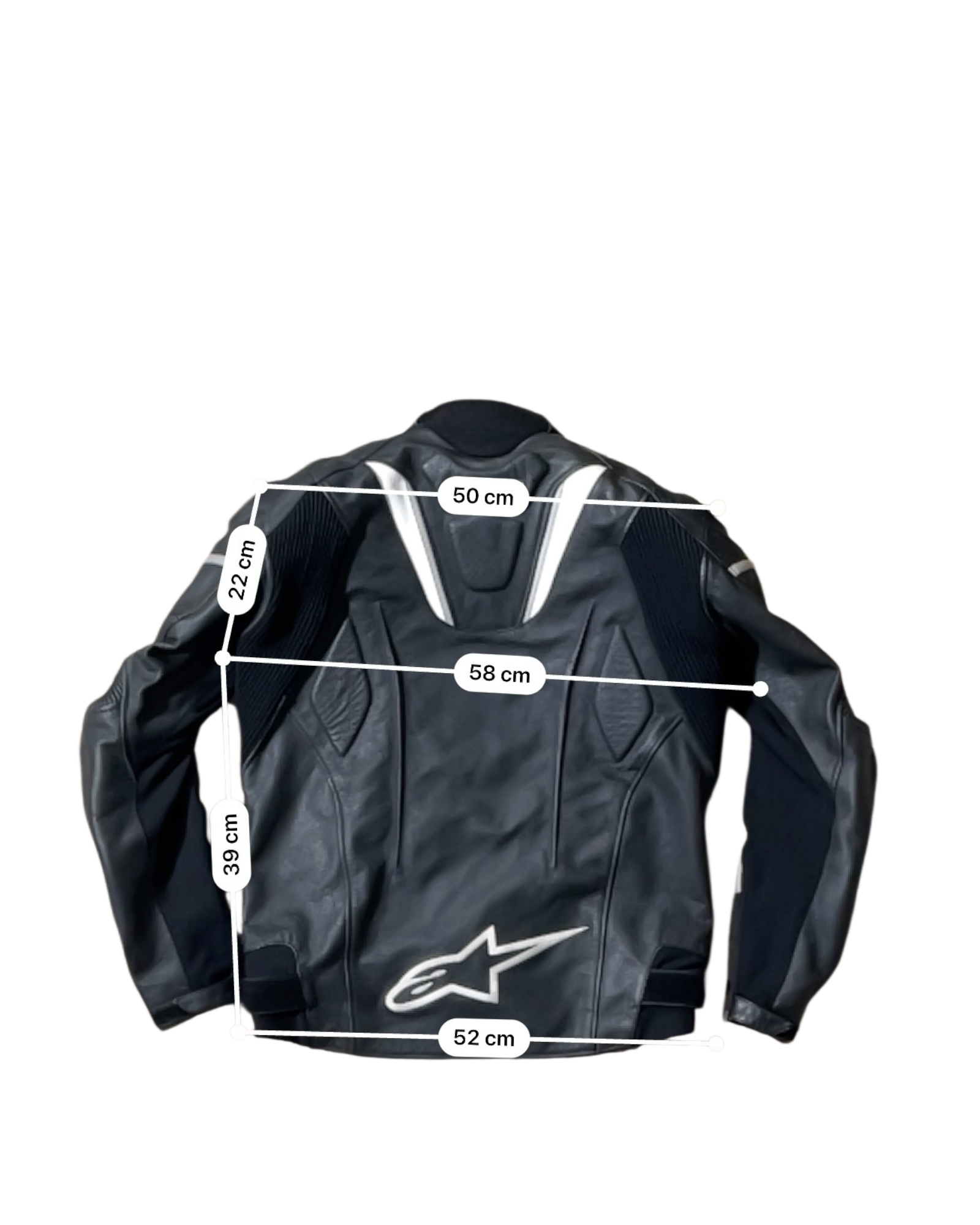 ALPINESTARS GP-R L / 52EU