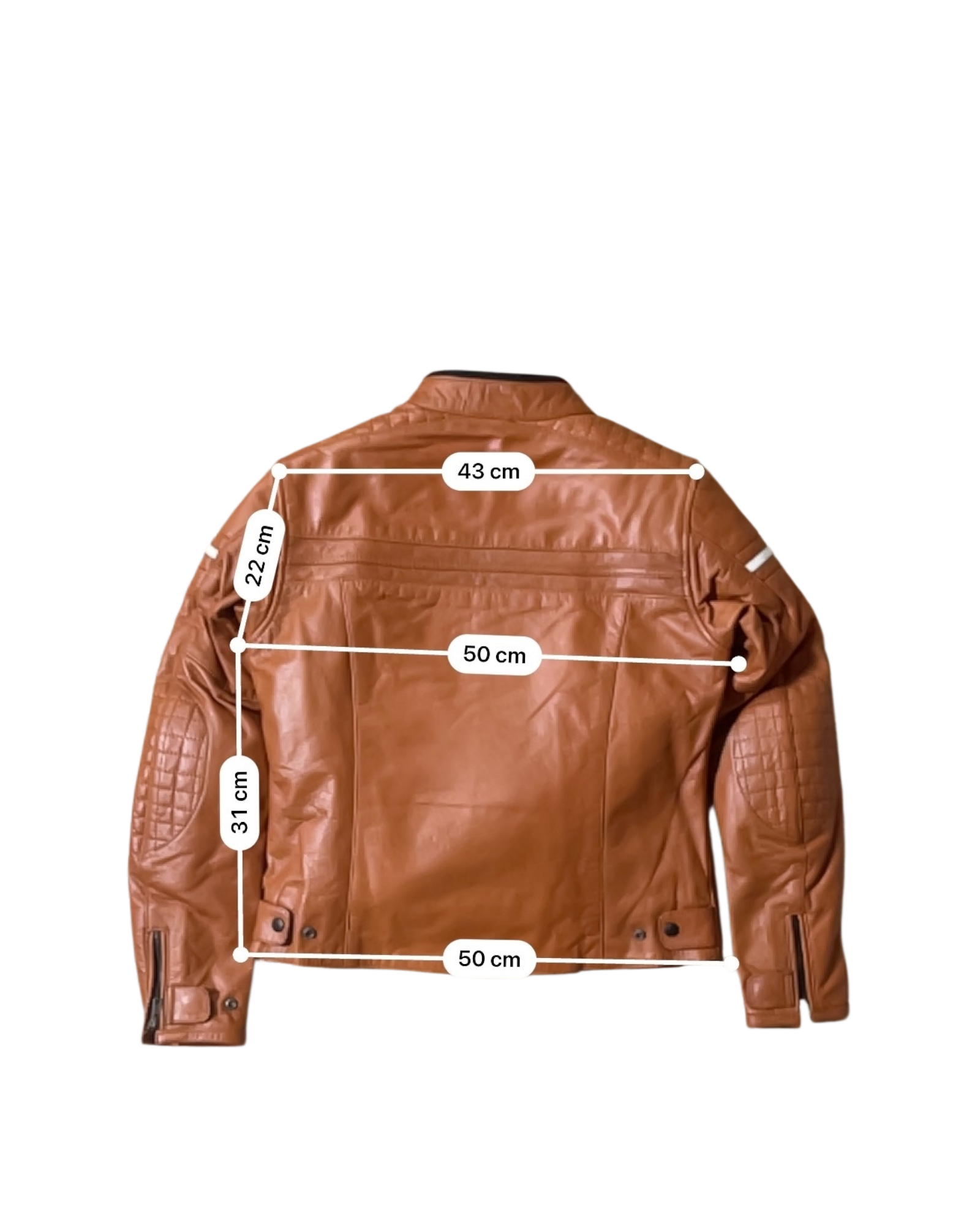 RICHA DAYTONA JACKET LADY - L / 42