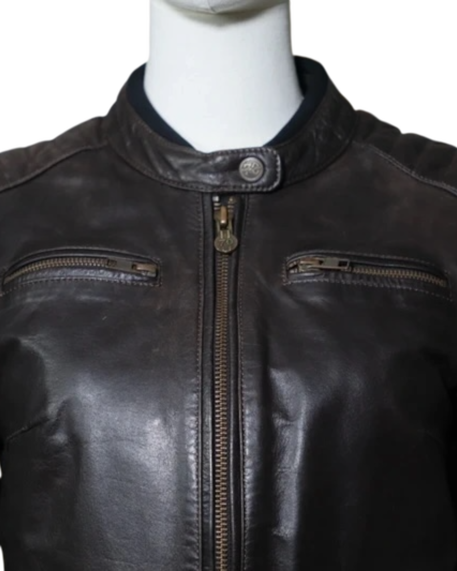 SEGURA RETRO S/T1