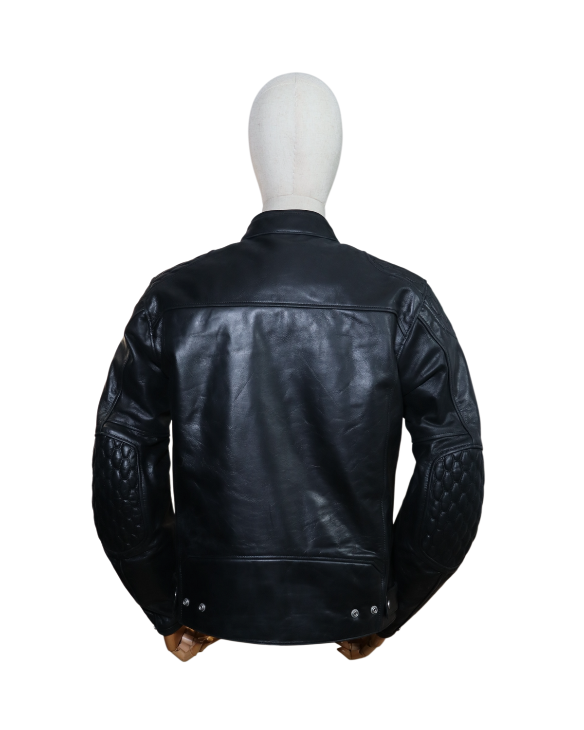SEGURA CURTIS AAA - XL