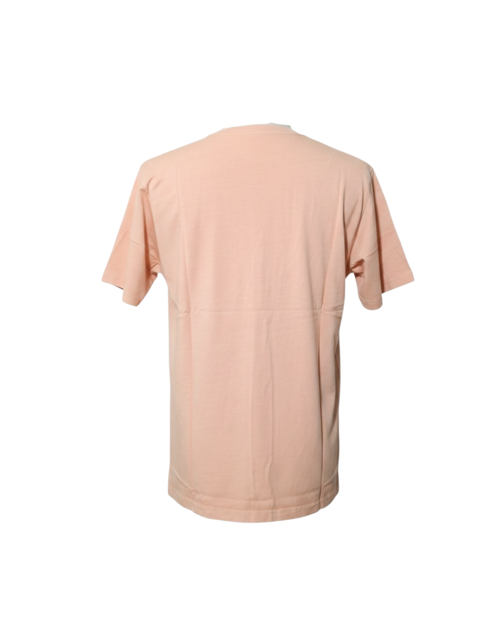 IRON & RESIN - T SHIRT ASH LIGHT