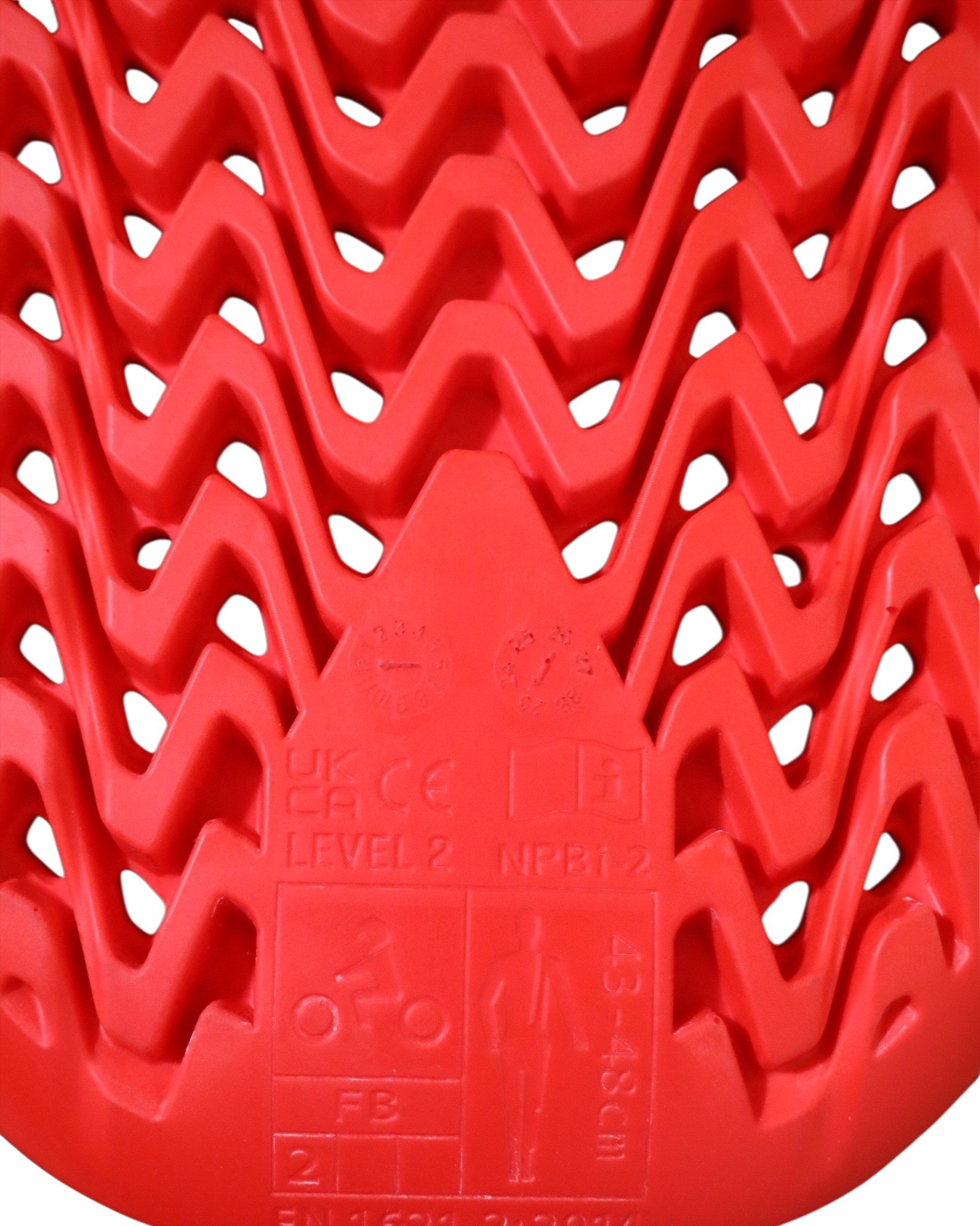 ALPINESTARS DORSALE NUCLEON PLASMA S