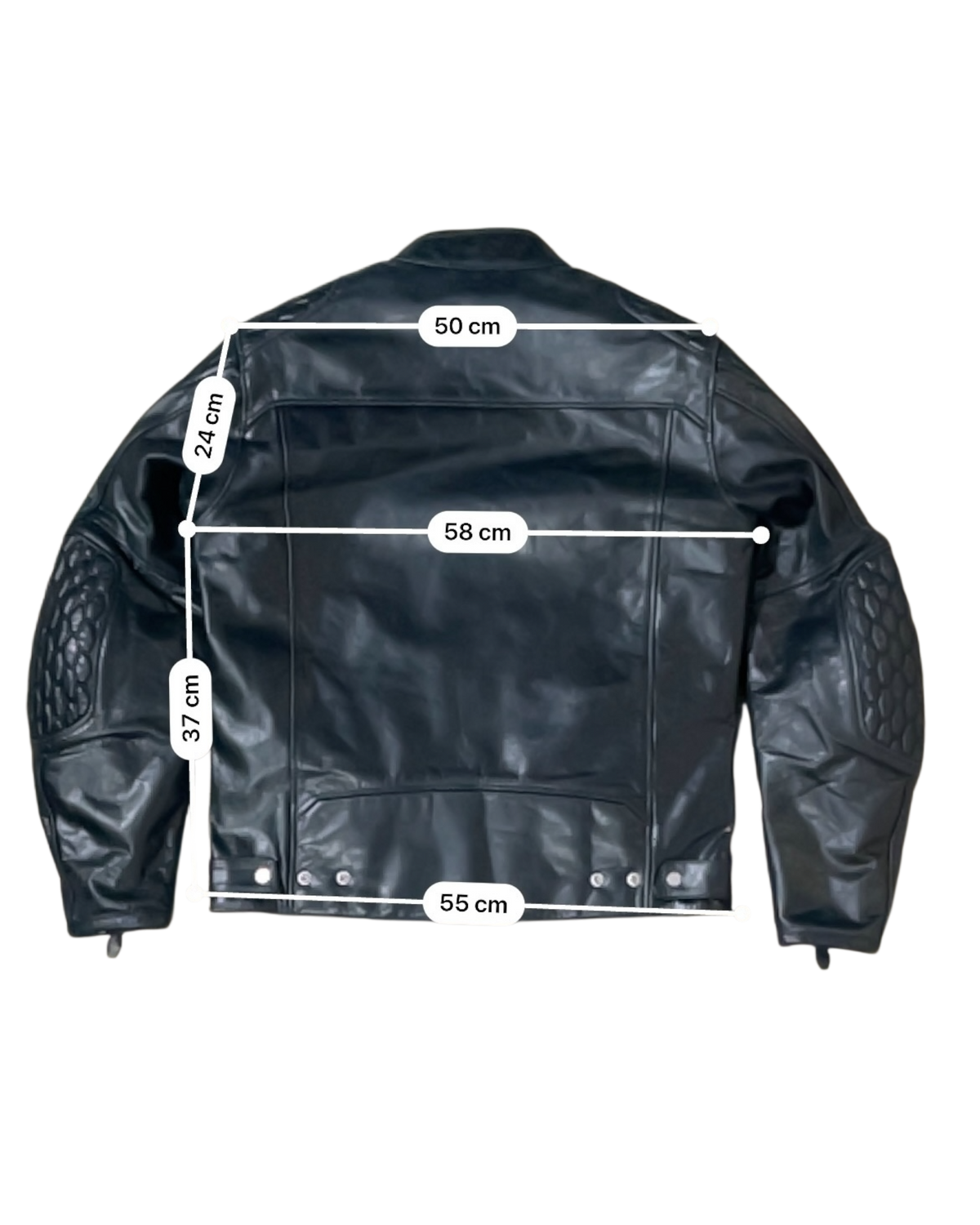 SEGURA CURTIS AAA - XL