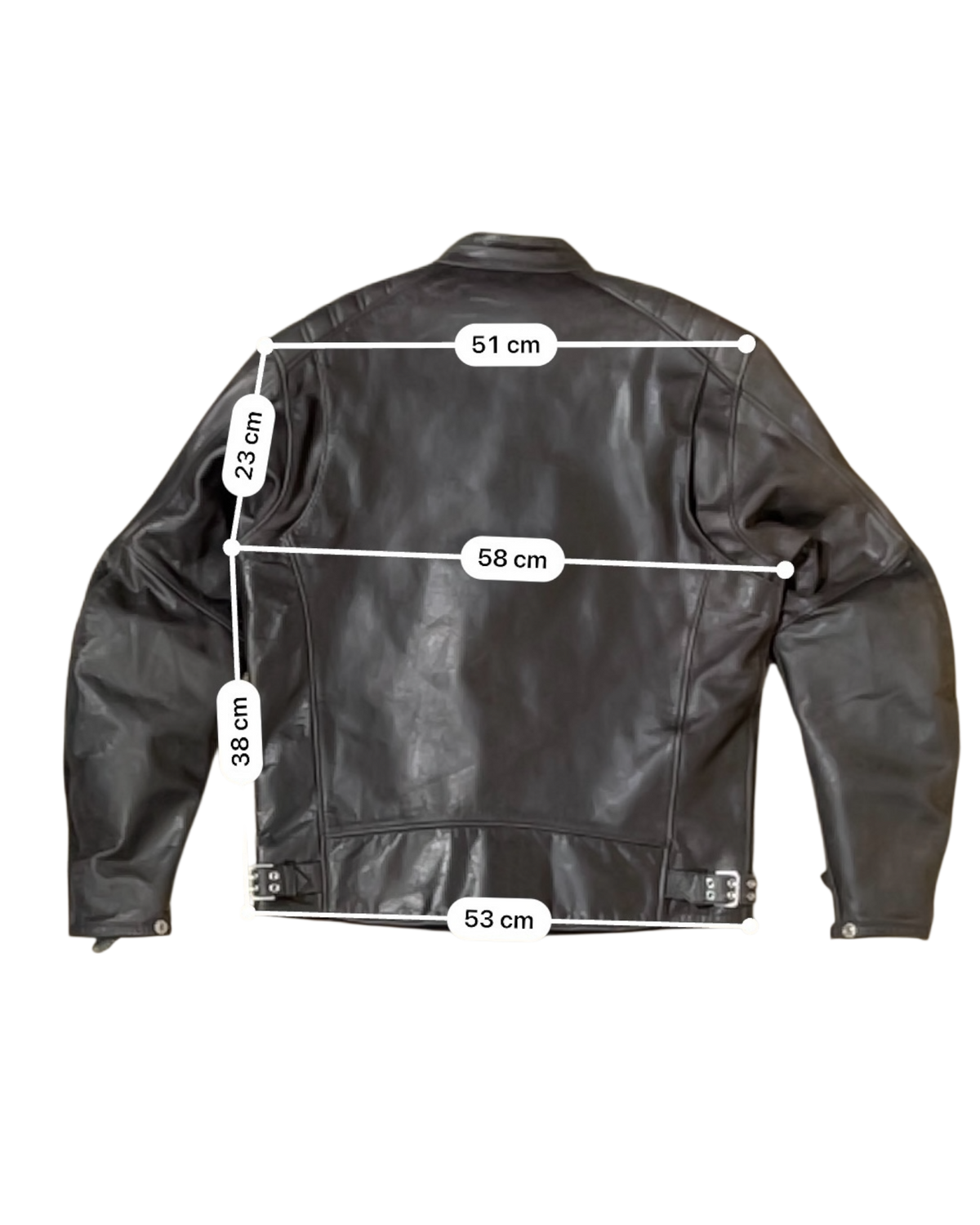 SEGURA LEWIS AAA - XL