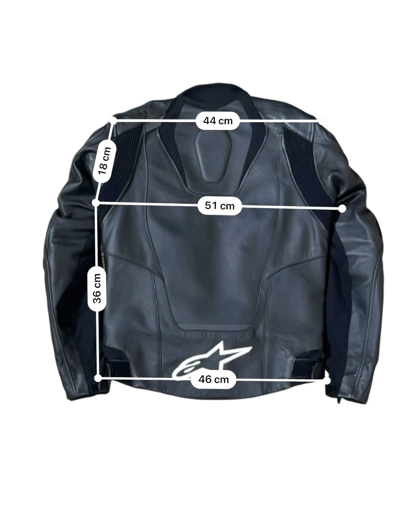 ALPINESTARS CUIR JAWS S / 48EU