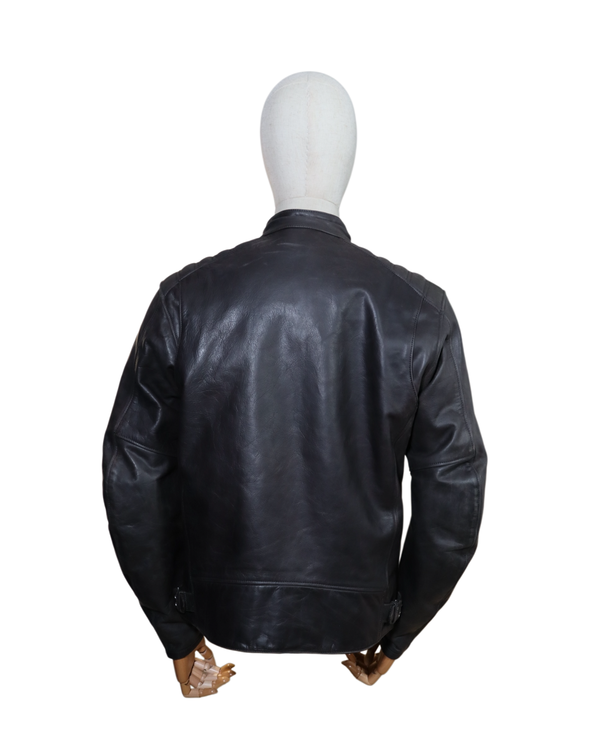 SEGURA LEWIS AAA - XL