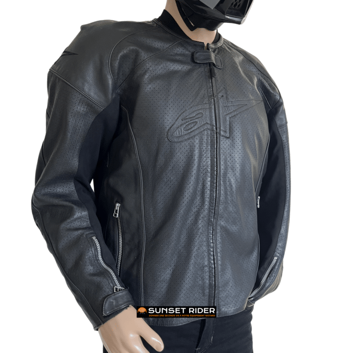 Blouson cuir Alpinestars L/54 Homme occasion