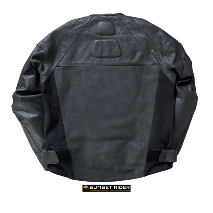 Blouson cuir Alpinestars L/54 Homme occasion