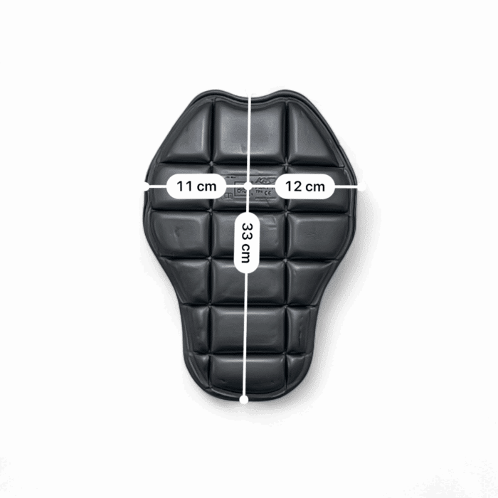 Protection dorsale KNOX XS