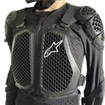 ALPINESTARS BIONIC ACTION V2 - L