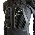 ALPINESTARS BIONIC V2 - XL