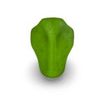 BEETLE S – Image 4